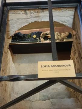 Hrad Strečno (©Muzeum.SK 2025) Fotogaléria